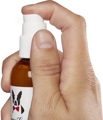 Show full view: Warren London Dog Sunscreen Spray, 4-fl oz bottle slide 3 of 7