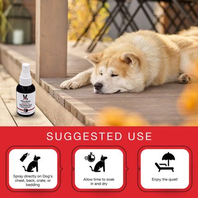 Show full view: Warren London Essential Oil Calming Spray for Dogs, 2.5-oz slide 5 of 6