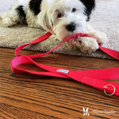 Show full view: Warren London Fabric Dog Leash, 5-ft, Red slide 6 of 6