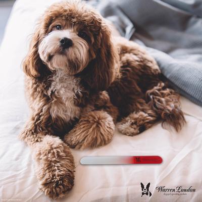 Show full view: Warren London Glass Nail File slide 4 of 6