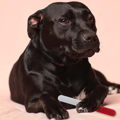 Show full view: Warren London Glass Nail File slide 6 of 6