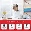 Show in main carousel: Warren London Grapeseed Oil Paw & Nose Revitalizer Spray, 1-fl oz bottle slide 4 of 7