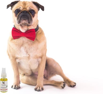 Show full view: Warren London Grapeseed Oil Paw & Nose Revitalizer Spray, 1-fl oz bottle slide 5 of 7