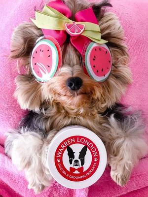 Show full view: Warren London Hydrating Butter Nose & Paw Dog Balm, 4-fl oz jar slide 5 of 9