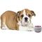 Show in main carousel: Warren London Hydrating Butter Nose & Paw Dog Balm, 4-fl oz jar slide 6 of 9