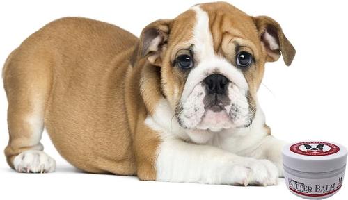 Show full view: Warren London Hydrating Butter Nose & Paw Dog Balm, 4-fl oz jar slide 6 of 9