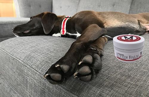 Show full view: Warren London Hydrating Butter Nose & Paw Dog Balm, 4-fl oz jar slide 7 of 9