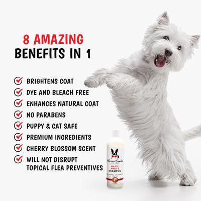 Show full view: Warren London Magic White Cherry Scented Brightening Dog Shampoo, 17-fl oz bottle slide 4 of 7