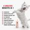 Show in main carousel: Warren London Neem Oil Itch Relieving Dog Shampoo, 17-fl oz bottle slide 3 of 7