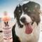 Show in main carousel: Warren London Neem Oil Itch Relieving Dog Shampoo, 17-fl oz bottle slide 5 of 7