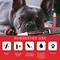 Show in main carousel: Warren London Pawdicure Dog Nail Polish Pen, 13 count slide 3 of 7