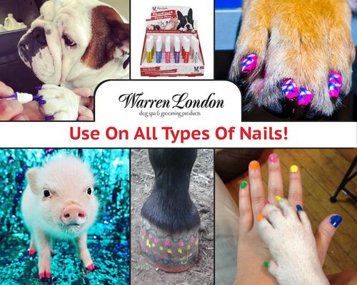 Show full view: Warren London Pawdicure Dog Nail Polish Pen, 13 count slide 6 of 7