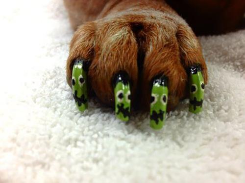 Show full view: Warren London Pawdicure Dog Nail Polish Pen, Neon Green slide 6 of 8