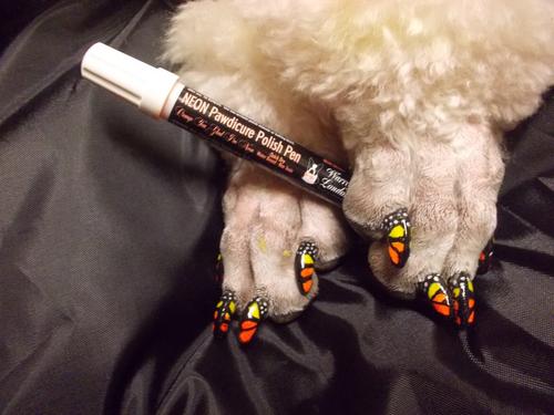 Show full view: Warren London Pawdicure Dog Nail Polish Pen, Neon Green slide 7 of 8