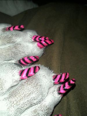 Show full view: Warren London Pawdicure Dog Nail Polish Pen, Neon Pink slide 6 of 8