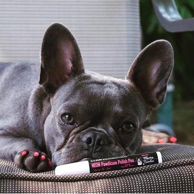 Show full view: Warren London Pawdicure Dog Nail Polish Pen, Neon Purple slide 6 of 8