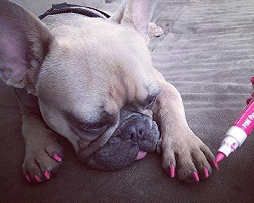 Show full view: Warren London Pawdicure Dog Nail Polish Pen, Pink slide 8 of 9