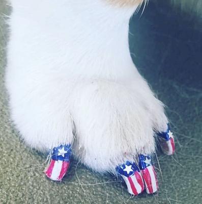 Show full view: Warren London Pawdicure Dog Nail Polish Pen, Red slide 5 of 7