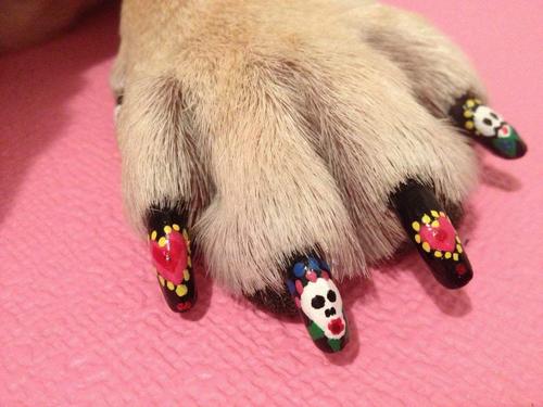 Show full view: Warren London Pawdicure Dog Nail Polish Pen, White slide 7 of 8