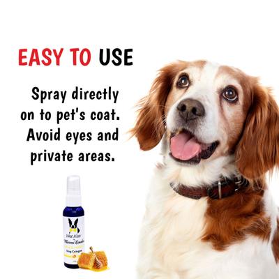 Show full view: Warren London Wet Kiss Milk & Honey All-Natural Dog Cologne, 2-fl oz bottle slide 5 of 7