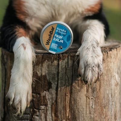 Show full view: WashBar Kanuka + Repair Dog Paw Balm, 1.7-fl oz tin slide 3 of 7