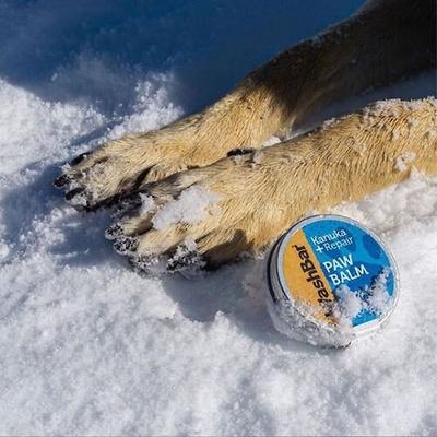 Show full view: WashBar Kanuka + Repair Dog Paw Balm, 1.7-fl oz tin slide 6 of 7