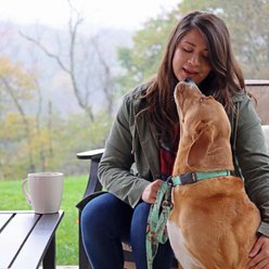 Water & Woods Adjustable Dog Collar, Country Roots Equinox, Large: 18-26-in neck, 1-in wide slide 2 of 6