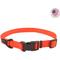 Show in main carousel: Water & Woods Adjustable Dog Collar, Safety Orange, Large: 18-26-in neck, 1-in wide slide 1 of 8
