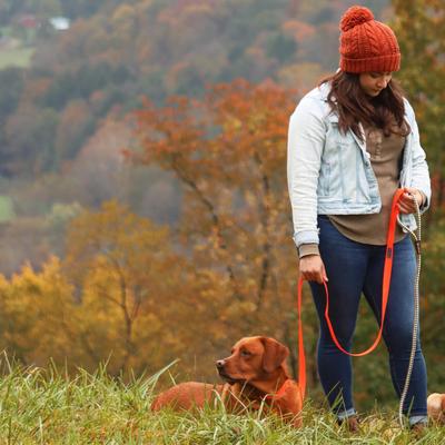 Show full view: Water & Woods Adjustable Dog Collar, Safety Orange, Medium: 14-20-in neck, 3/4-in wide slide 8 of 9