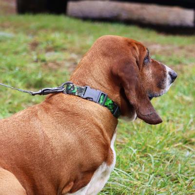 Show full view: Water & Woods Adjustable Dog Collar, Shadow Grass Blades, Small: 10-14-in neck, 3/4-in wide slide 3 of 7