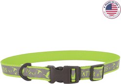 Water & Woods Adjustable Reflective Dog Collar, Water & Woods Lime, Large: 18-26-in neck, 1-in wide