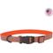 Show in main carousel: Water & Woods Adjustable Reflective Dog Collar, Water & Woods Orange, Large: 18-26-in neck, 1-in wide slide 1 of 2