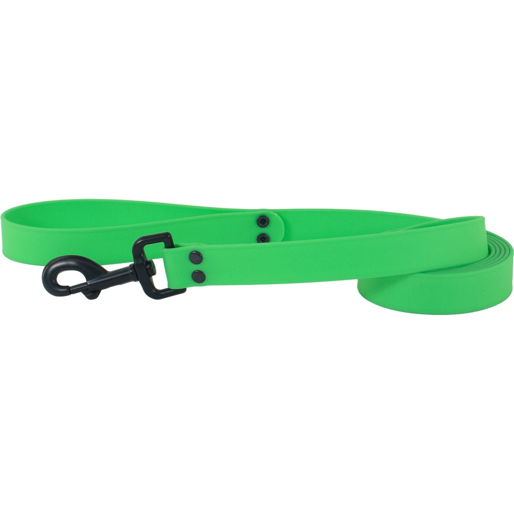 Water & Woods BioThane Dog Leash, 6-ft long, 1-in wide, Green