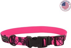 Water & Woods Blaze Adjustable Patterned Dog Collar, Neon Pink Tree, Large: 18-26-in neck, 1-in wide