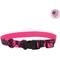 Show in main carousel: Water & Woods Blaze Adjustable Patterned Dog Collar, Neon Pink Tree, Large: 18-26-in neck, 1-in wide slide 1 of 6