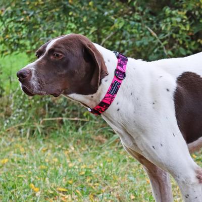 Show full view: Water & Woods Blaze Adjustable Patterned Dog Collar, Neon Pink Tree, Large: 18-26-in neck, 1-in wide slide 5 of 6