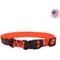 Show in main carousel: Water & Woods Blaze Adjustable Patterned Dog Collar, Orange Tree, Large: 18-26-in neck, 1-in wide slide 1 of 6