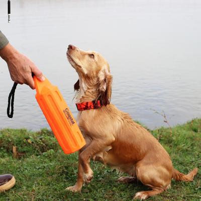 Show full view: Water & Woods Blaze Adjustable Patterned Dog Collar, Orange Tree, Large: 18-26-in neck, 1-in wide slide 3 of 6
