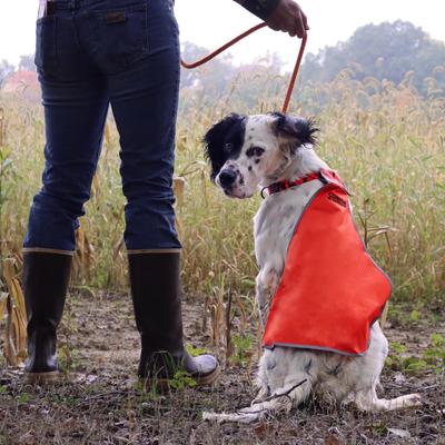 Show full view: Water & Woods Braided Rope Slip Dog Leash, Safety Orange slide 6 of 7