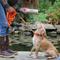 Show in main carousel: Water & Woods Canvas Dog Training Dummies, Natural, 12 x 3-in slide 6 of 6