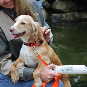 Water & Woods Canvas Dog Training Dummies, Natural, 9 x 2-in