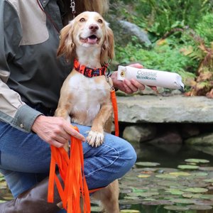 Water & Woods Canvas Dog Training Dummies, Natural, 9 x 2-in