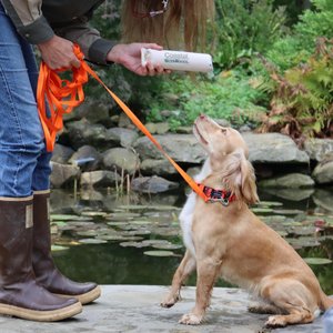 Water & Woods Canvas Dog Training Dummies, Natural, 9 x 2-in