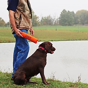 Water & Woods Canvas Dog Training Dummies, Orange, 9 x 2-in