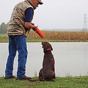 Water & Woods Canvas Dog Training Dummies, Orange, 9 x 2-in