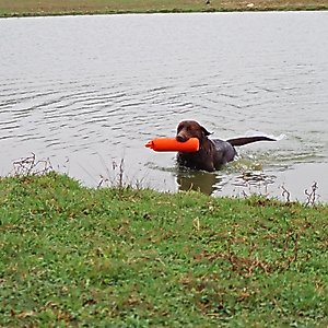 Water & Woods Canvas Dog Training Dummies, Orange, 9 x 2-in