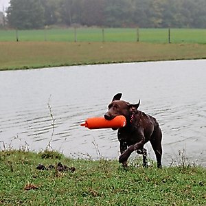 Water & Woods Canvas Dog Training Dummies, Orange, 9 x 2-in