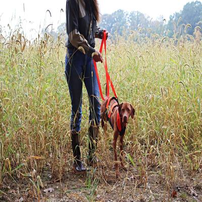 Show full view: Water & Woods Dog Chest Protector, Medium slide 5 of 7