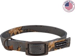 Water & Woods Double-Ply Patterned Hound Dog Collar, Country Roots Evergreen, Medium: 18-in neck, 1-in wide