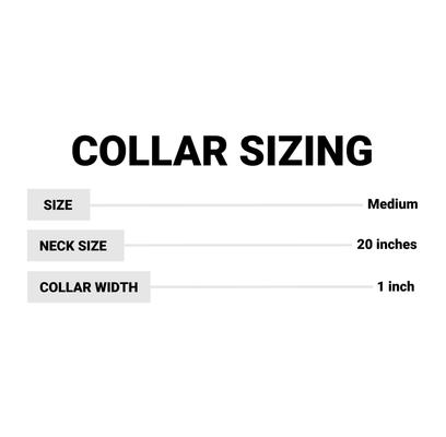 Show full view: Water & Woods Double-Ply Reflective Hound Dog Collar, Medium: 20-in neck, 1-in wide slide 2 of 3